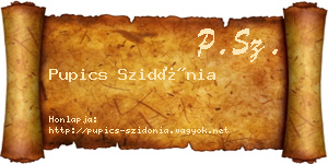 Pupics Szidónia névjegykártya